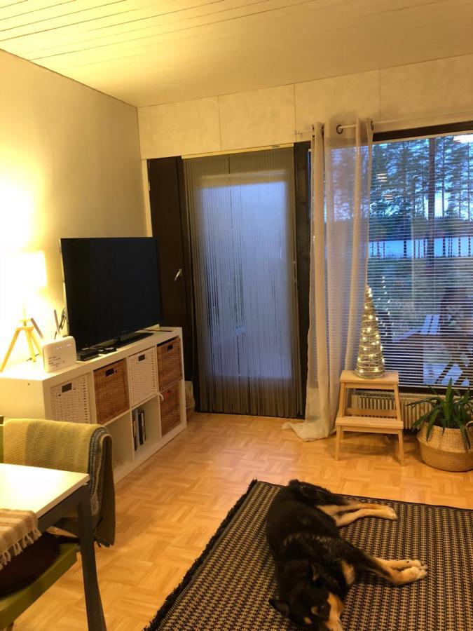 Joutiaisentie I 55 Forest Apartment Joutsa Exterior photo